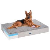 Veehoo orthopedic memory foam bed side view shows generous 52x36x7 support for large dogs