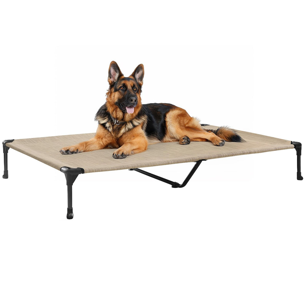 Veehoo outdoor elevated dog bed setup with large frame for big breeds and outdoor comfort.