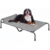 Veehoo XXXL elevated dog bed on porch offering outdoor comfort and clean sleep