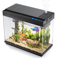 Vehipa fish tank 2.4-gallon setup shows compact decor with calm viewing from the side.