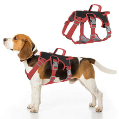 Velbano Escape Proof Harness back view shows durable fabric and reflective safety for night walks