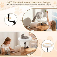 VERIFOST cat desk bed solid steel frame delivers stable support up to 50 lbs