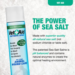Vet Aid Wound Care Spray application—easy, gentle mist for post-op wounds and hotspots.