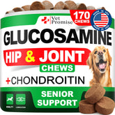 Vet Promise Advanced Glucosamine dog chews bottle for easy daily joint support.