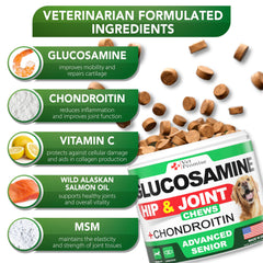 Vet Promise Advanced Glucosamine supports older dogs with smoother movement.