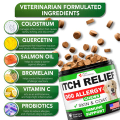 Vet Promise Dog Allergy Relief Chews omega-3 visual highlights skin and coat support