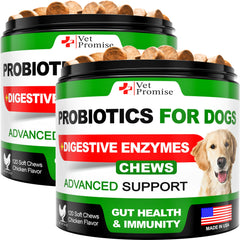 Vet Promise dog probiotics 2pack bottle supports digestion and balanced gut health for happier tummies.