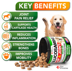 Vet Promise glucosamine for dogs chews shown as mobility-boosting treats for active dogs