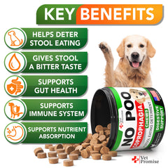 Vet Promise No Poo Chews treats closeup emphasizes probiotic blend for gut health.