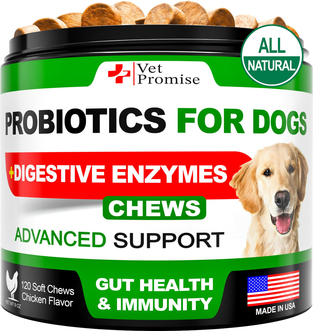 Vet Promise Probiotics for Dogs bottle – digestive support for dogs.