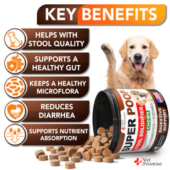Vet Promise Super Poop Probiotics dogs chews pack highlights fiber and probiotics for steadier stools