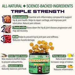 Vet Treat turmeric hemp oil dog joint mobility chews closeup for inflammation relief.