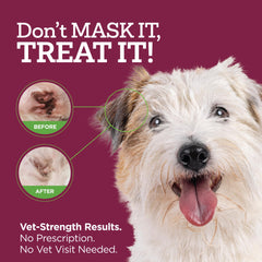 Vetality Comfort Tube close-up shows a soft tip for gentle application.