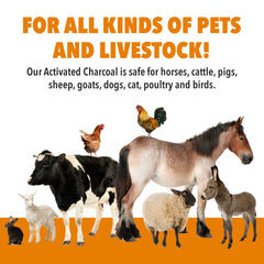 VetDtox charcoal powder in dog and cat feed for digestion support.