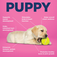 Vetericyn puppy supplement bottle-daily-dose emphasizes simple daily use for dogs.