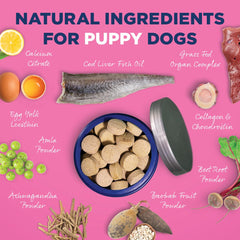 Vetericyn puppy supplement digeseb-enzymes graphic notes digestive enzyme support for absorption.