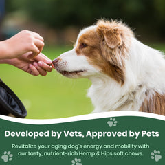 Close-up of Veterinary Naturals soft chews promoting mobility.