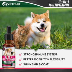 Vetflix 10-in-1 bottle label close-up highlighting USA-made quality and comprehensive formula.