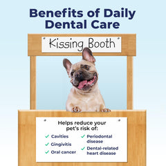 Dual-action mitt cleaning and polishing dog teeth.