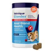 Vetnique Glandex anal gland soft chews pumpkin box promotes digestive comfort.