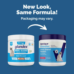 Vetnique Glandex daily probiotic powder scoop beside bottle for easy daily dosing