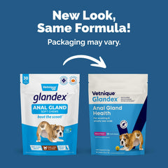 Vetnique Glandex dog chew close-up with pumpkin seeds for digestion