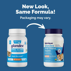 Vetnique Glandex dog fiber powder tub shows vet-formulated support for digestion.