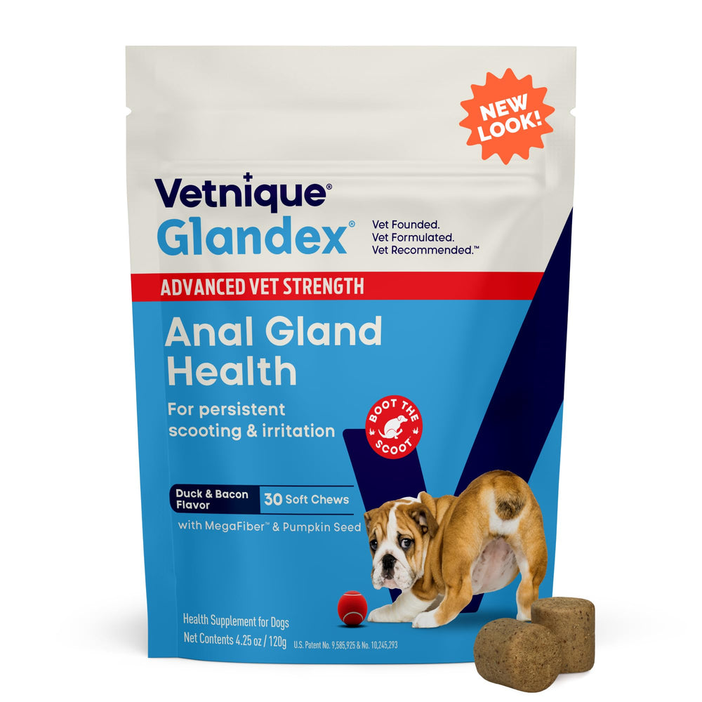 Vetnique Glandex soft chews support anal gland health for dogs.