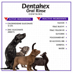 Vetoquinol Dentahex plaque and tartar control close-up supports at-source care.
