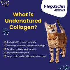 Vetoquinol Flexadin Advanced cat-friendly chews on display for joint support