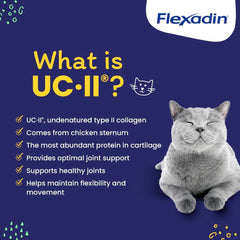 Vetoquinol Flexadin UC-II graphic emphasizing clinically studied joint support
