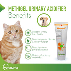 Vetoquinol Methigel given to a dog, illustrating easy gel administration.