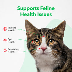 Vetoquinol Viralys lysine gel helps cats eye health and comfort.
