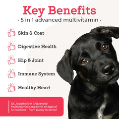 VetPro Complete joint-health chew shown for active daily movement support.