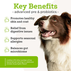 Scooping VetPro Complete probiotic powder onto dog food for easy topper administration
