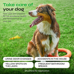 Vetrica duck-flavored dog chews highlight easy administration and tasty palatability.