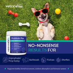 Vetrinex Labs probiotic-7-strain blend-bottle shows premium gut support.