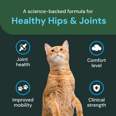 VetriScience cat joint chews on table, emphasizing daily mobility support for cats