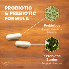 Opened VetriScience Gut Health capsules ready to sprinkle on food