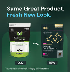 VETRISCIENCE Healthy Gut Digestion bottle label highlights GanedenBC30 and prebiotics.