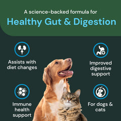 VETRISCIENCE Healthy Gut Digestion dog and cat serving suggests daily use.