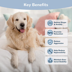 Vetriuntrix Calming Chews for Dogs—tasty chicken flavor during fireworks to ease stress.