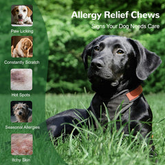 Vetriuntrix dog allergy chews chicken flavor visible for picky eaters