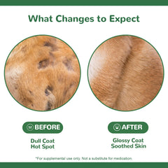 Vetriuntrix Dog Allergy Chews packaging emphasizes grain-free formula.