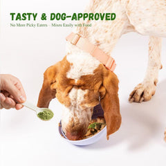 Vetriuntrix dog teeth powder tub with scoop emphasizes affordable, low-effort dental care