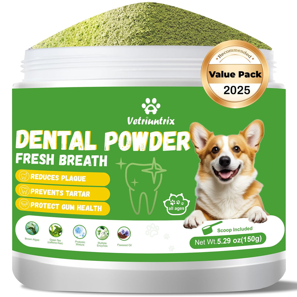 Vetriuntrix dog teeth powder tub closeup shows plant-based formula for fresher breath