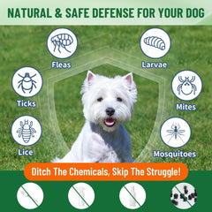 VICSOM dog-flavored drops in chicken flavor for daily routine