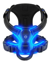 Villabliss light-up dog harness blue large front view enhances nighttime visibility for safe walks