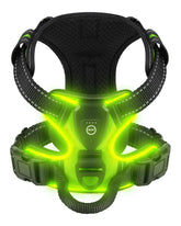 Villabliss light-up dog harness green front view for nighttime visibility during walks