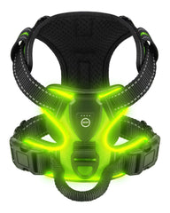 Villabliss light-up dog harness green front view for nighttime visibility during walks